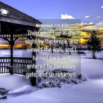 Picture 04 - Nehemiah 2:15 ASV - Then went I up in the night by the brook, and - Bible Verse Picture