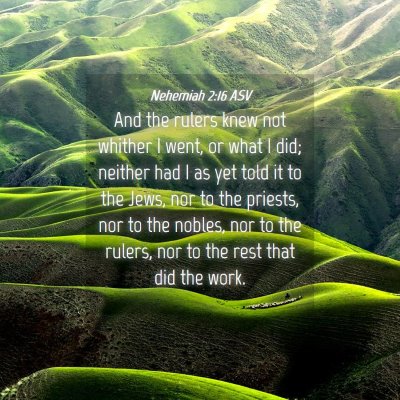 Picture 04 - Nehemiah 2:16 ASV - And the rulers knew not whither I went, or what I - Bible Verse Picture