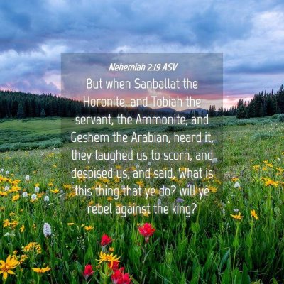 Picture 04 - Nehemiah 2:19 ASV - But when Sanballat the Horonite, and Tobiah the - Bible Verse Picture