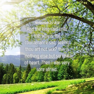 Picture 04 - Nehemiah 2:2 ASV - And the king said unto me, Why is thy countenance - Bible Verse Picture