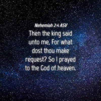 Picture 04 - Nehemiah 2:4 ASV - Then the king said unto me, For what dost thou - Bible Verse Picture