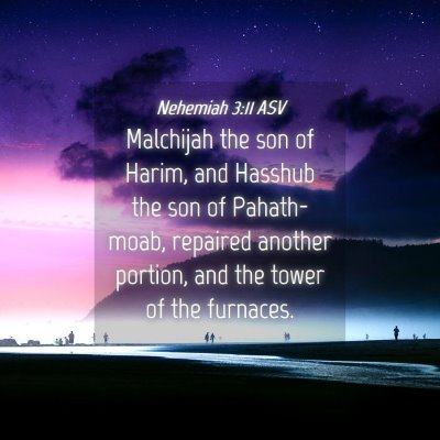 Picture 04 - Nehemiah 3:11 ASV - Malchijah the son of Harim, and Hasshub the son - Bible Verse Picture