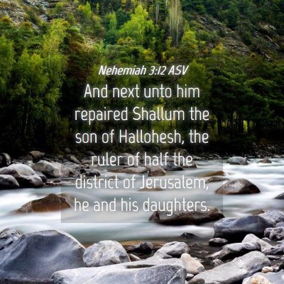 Picture 04 - Nehemiah 3:12 ASV - And next unto him repaired Shallum the son of - Bible Verse Picture