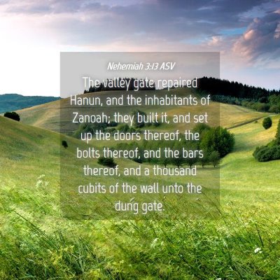 Picture 04 - Nehemiah 3:13 ASV - The valley gate repaired Hanun, and the - Bible Verse Picture