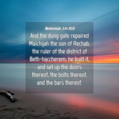 Picture 04 - Nehemiah 3:14 ASV - And the dung gate repaired Malchijah the son of - Bible Verse Picture