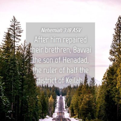 Picture 04 - Nehemiah 3:18 ASV - After him repaired their brethren, Bavvai the son - Bible Verse Picture