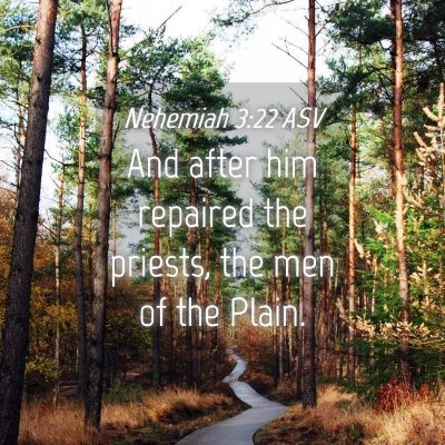 Picture 04 - Nehemiah 3:22 ASV - And after him repaired the priests, the men of - Bible Verse Picture