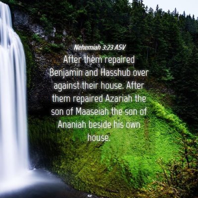 Picture 04 - Nehemiah 3:23 ASV - After them repaired Benjamin and Hasshub over - Bible Verse Picture