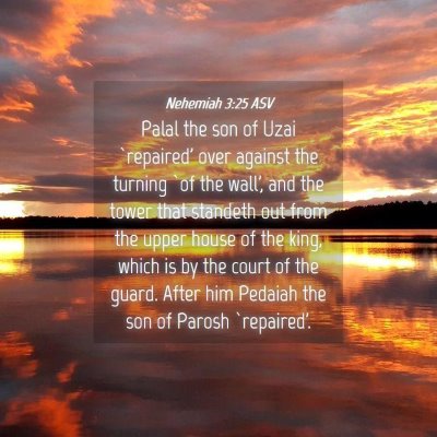 Picture 04 - Nehemiah 3:25 ASV - Palal the son of Uzai `repaired' over against the - Bible Verse Picture