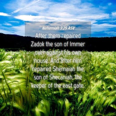 Picture 04 - Nehemiah 3:29 ASV - After them repaired Zadok the son of Immer over - Bible Verse Picture