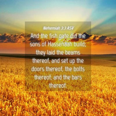 Picture 04 - Nehemiah 3:3 ASV - And the fish gate did the sons of Hassenaah - Bible Verse Picture