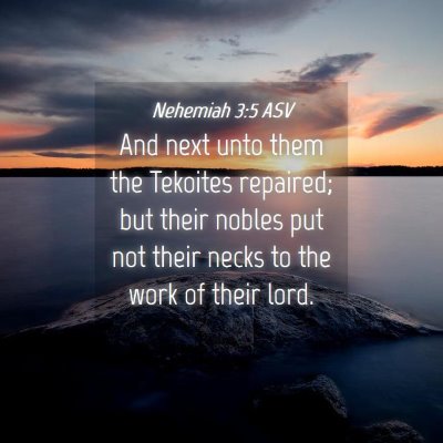 Picture 04 - Nehemiah 3:5 ASV - And next unto them the Tekoites repaired; but - Bible Verse Picture