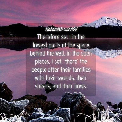 Picture 04 - Nehemiah 4:13 ASV - Therefore set I in the lowest parts of the space - Bible Verse Picture