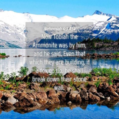 Picture 04 - Nehemiah 4:3 ASV - Now Tobiah the Ammonite was by him, and he said, - Bible Verse Picture