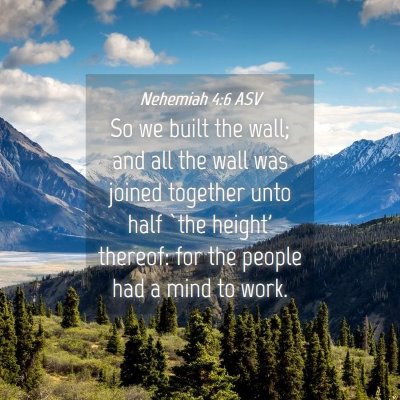 Picture 04 - Nehemiah 4:6 ASV - So we built the wall; and all the wall was joined - Bible Verse Picture