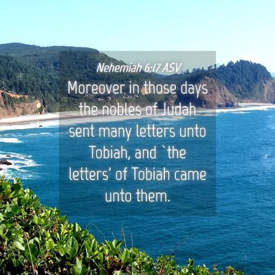 Picture 04 - Nehemiah 6:17 ASV - Moreover in those days the nobles of Judah sent - Bible Verse Picture