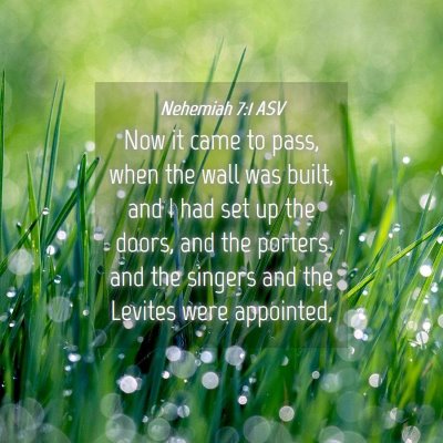 Picture 04 - Nehemiah 7:1 ASV - Now it came to pass, when the wall was built, and - Bible Verse Picture