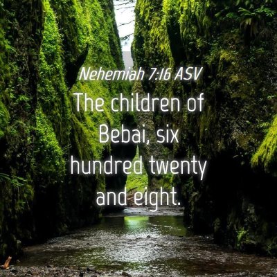 Picture 04 - Nehemiah 7:16 ASV - The children of Bebai, six hundred twenty and - Bible Verse Picture