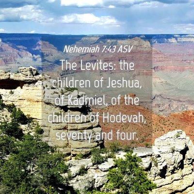 Picture 04 - Nehemiah 7:43 ASV - The Levites: the children of Jeshua, of Kadmiel, - Bible Verse Picture