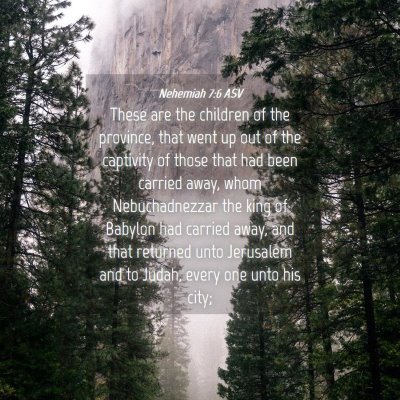 Picture 04 - Nehemiah 7:6 ASV - These are the children of the province, that went - Bible Verse Picture
