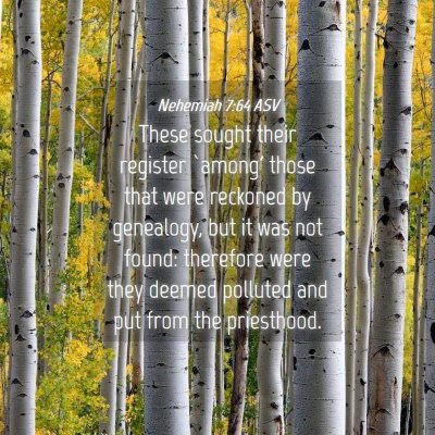 Picture 04 - Nehemiah 7:64 ASV - These sought their register `among' those that - Bible Verse Picture