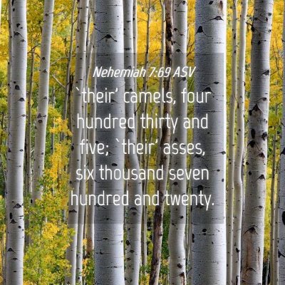 Picture 04 - Nehemiah 7:69 ASV - `their' camels, four hundred thirty and five; - Bible Verse Picture