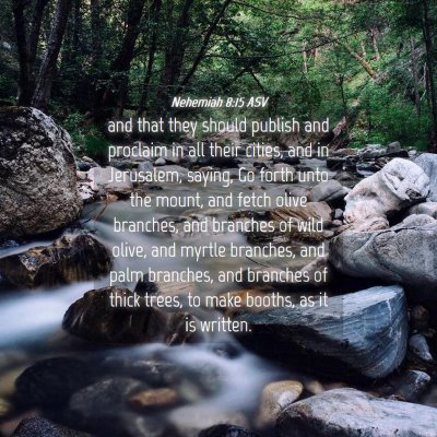 Picture 04 - Nehemiah 8:15 ASV - and that they should publish and proclaim in all - Bible Verse Picture
