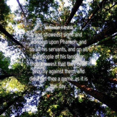 Picture 04 - Nehemiah 9:10 ASV - and showedst signs and wonders upon Pharaoh, and - Bible Verse Picture