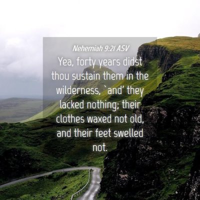 Picture 04 - Nehemiah 9:21 ASV - Yea, forty years didst thou sustain them in the - Bible Verse Picture
