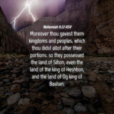Picture 04 - Nehemiah 9:22 ASV - Moreover thou gavest them kingdoms and peoples, - Bible Verse Picture