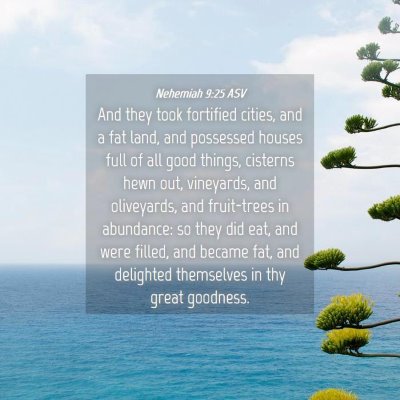 Picture 04 - Nehemiah 9:25 ASV - And they took fortified cities, and a fat land, - Bible Verse Picture