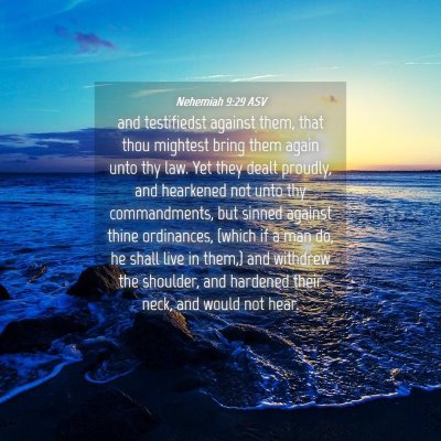 Picture 04 - Nehemiah 9:29 ASV - and testifiedst against them, that thou mightest - Bible Verse Picture