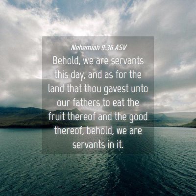 Picture 04 - Nehemiah 9:36 ASV - Behold, we are servants this day, and as for the - Bible Verse Picture