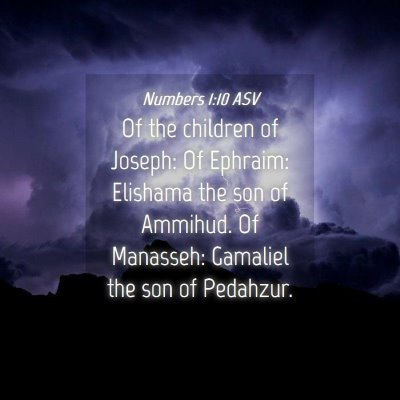 Picture 04 - Numbers 1:10 ASV - Of the children of Joseph: Of Ephraim: Elishama - Bible Verse Picture