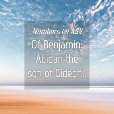 Picture 04 - Numbers 1:11 ASV - Of Benjamin: Abidan the son of - Bible Verse Picture