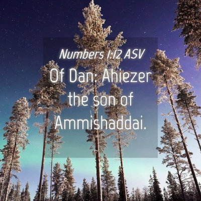 Picture 04 - Numbers 1:12 ASV - Of Dan: Ahiezer the son of - Bible Verse Picture