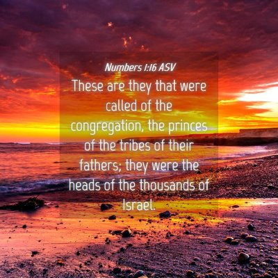 Picture 04 - Numbers 1:16 ASV - These are they that were called of the - Bible Verse Picture