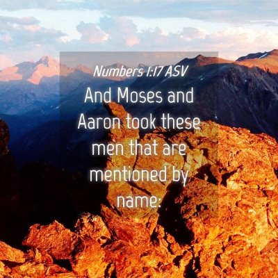 Picture 04 - Numbers 1:17 ASV - And Moses and Aaron took these men that are - Bible Verse Picture