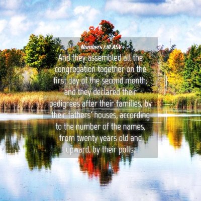 Picture 04 - Numbers 1:18 ASV - And they assembled all the congregation together - Bible Verse Picture
