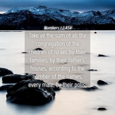 Picture 04 - Numbers 1:2 ASV - Take ye the sum of all the congregation of the - Bible Verse Picture