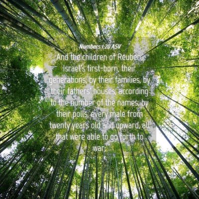 Picture 04 - Numbers 1:20 ASV - And the children of Reuben, Israel's first-born, - Bible Verse Picture