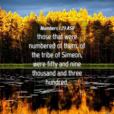 Picture 04 - Numbers 1:23 ASV - those that were numbered of them, of the tribe of - Bible Verse Picture