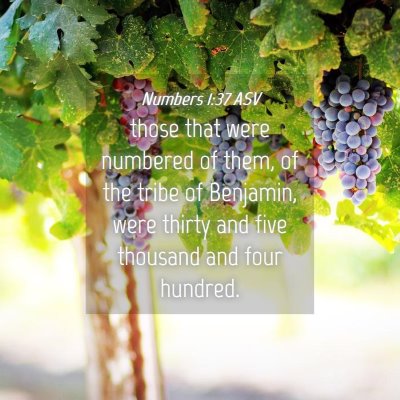 Picture 04 - Numbers 1:37 ASV - those that were numbered of them, of the tribe of - Bible Verse Picture