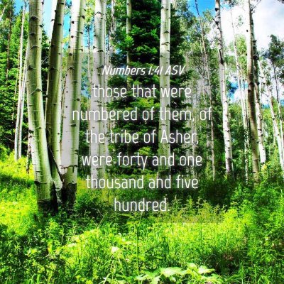 Picture 04 - Numbers 1:41 ASV - those that were numbered of them, of the tribe of - Bible Verse Picture