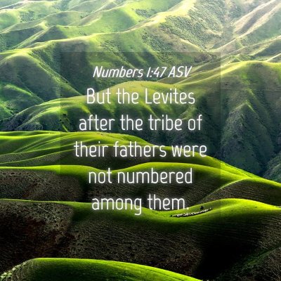 Picture 04 - Numbers 1:47 ASV - But the Levites after the tribe of their fathers - Bible Verse Picture