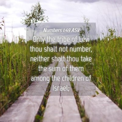 Picture 04 - Numbers 1:49 ASV - Only the tribe of Levi thou shalt not number, - Bible Verse Picture