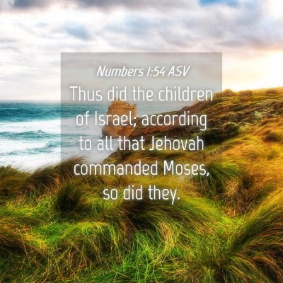 Picture 04 - Numbers 1:54 ASV - Thus did the children of Israel; according to all - Bible Verse Picture