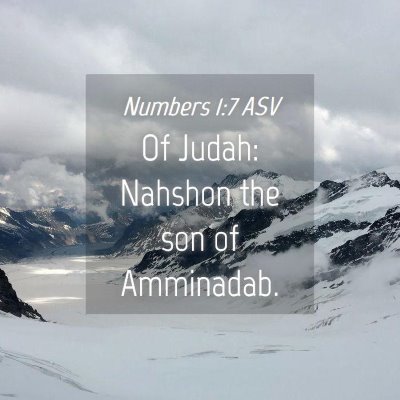 Picture 04 - Numbers 1:7 ASV - Of Judah: Nahshon the son of - Bible Verse Picture