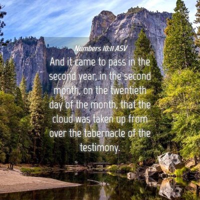 Picture 04 - Numbers 10:11 ASV - And it came to pass in the second year, in the - Bible Verse Picture