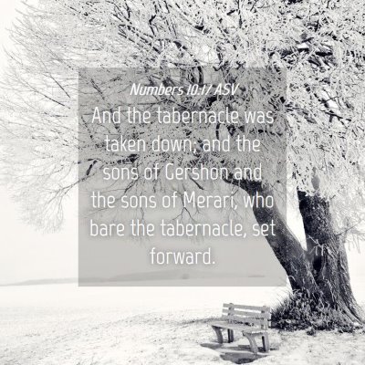 Picture 04 - Numbers 10:17 ASV - And the tabernacle was taken down; and the sons - Bible Verse Picture
